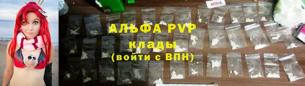 индика Касимов