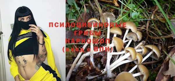 индика Касимов