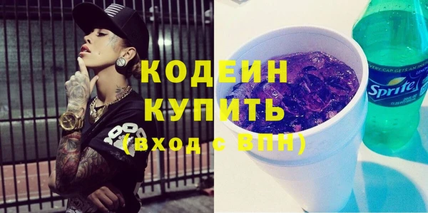 индика Касимов
