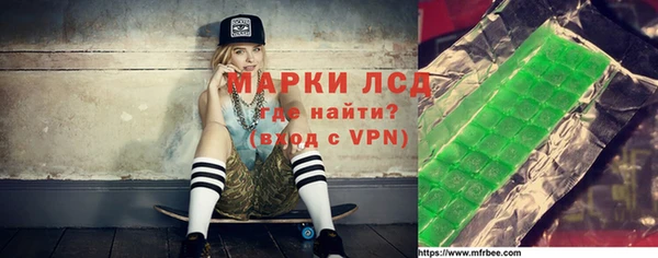 индика Касимов