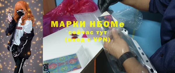 индика Касимов