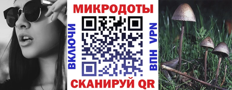 где купить наркоту Петровск площадка состав Галлюциногенные грибы прущие грибы